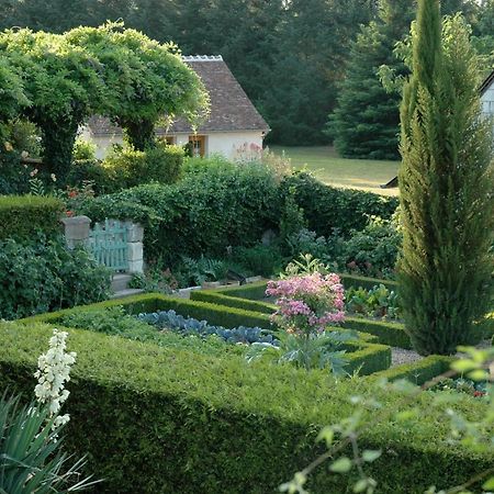 Le Chat Courant Villandry Exteriér fotografie