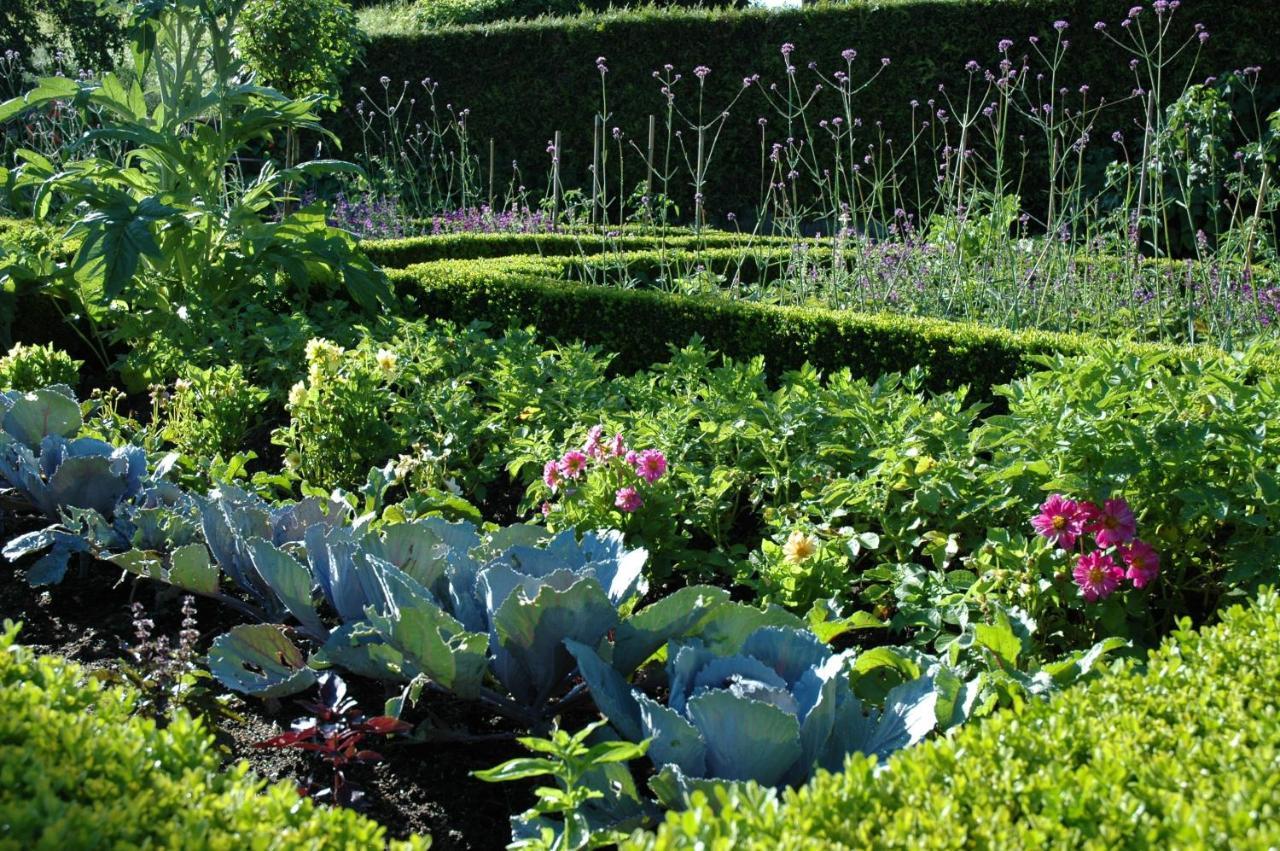Le Chat Courant Villandry Exteriér fotografie